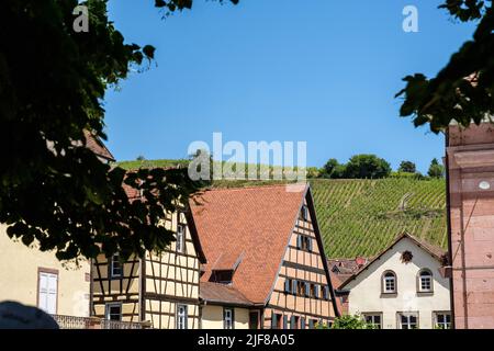 Riquewihr est une ville médiévale classée. Il est situé dans les vignobles les plus connus d'Alsace | Riquewihr est une cité medievale classee célébration nichee Banque D'Images