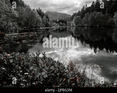 Glencoe Lochan Trail Banque D'Images