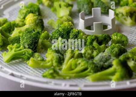 Préserver le brocoli par déshydratation dans un séchoir alimentaire Banque D'Images