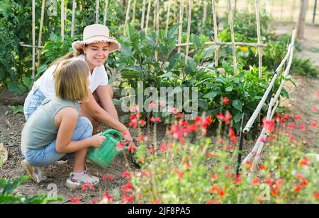 Fille aide maman à arroser les plantes de l'arrosoir dans le champ de ferme Banque D'Images