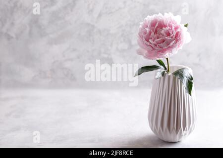 Belle fleur de pivoine rose dans un vase en céramique blanc, couleur pastel, photo horizontale Banque D'Images