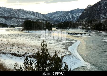 Vue à travers la couronne d'un pin dans une rivière gelée avec des îles entourées de hautes montagnes enneigées en hiver. Rivière Katun, Altaï, Siberi Banque D'Images