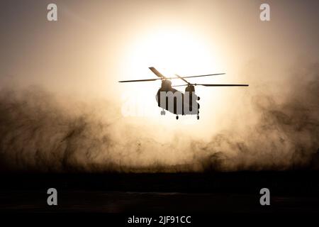 Royal Marocain Boeing CH-47 Chinook terres pendant l'exercice African Lion 2022 à Tifnit Maroc, Afrique, on 23 juin 2022. AL22 est le plus grand exercice annuel combiné, conjoint, du Commandement de l'Afrique des États-Unis organisé par le Maroc, le Ghana, le Sénégal et la Tunisie, 6 juin - 30. Plus de 7 500 participants de 28 pays et de l'OTAN s'entraînent ensemble en mettant l'accent sur l'amélioration de la préparation des forces américaines et des pays partenaires. AL22 est un exercice conjoint de tous les domaines, multi-composants et multinational, qui emploie une gamme complète de capacités de mission dans le but de renforcer l'interopérabilité entre les participants et de fixer le t Banque D'Images