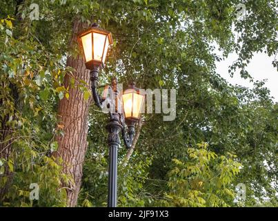 Deux magnifiques lanternes d'éclairage de rue vintage sur un poteau rétro en fer forgé sur un fond d'arbres verts sont dans le parc au printemps, à l'extérieur Banque D'Images