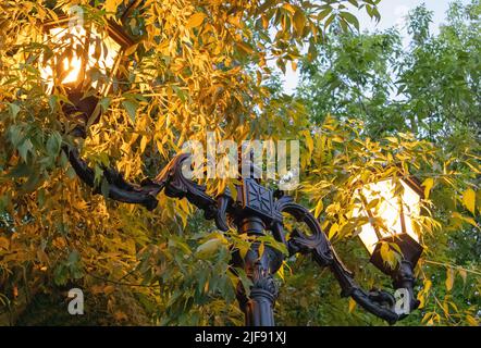 Deux belles lanternes d'éclairage de rue vintage sur un poteau rétro en fer forgé contre un fond d'arbres verts sont dans le parc au printemps, à l'extérieur, moi Banque D'Images