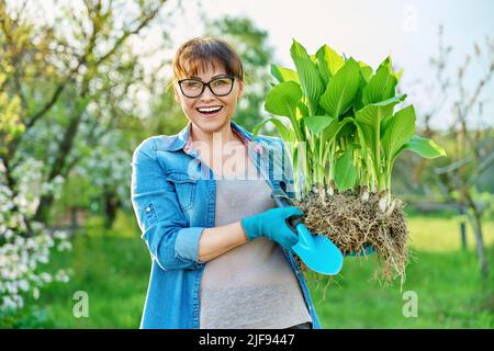 Femme En Gants De Jardinage Avec Pelle Tenant Une Plante De Sedum