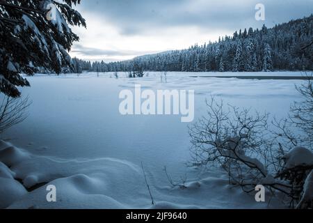 Vue rêveuse du lac gelé de Lispach dans les Vosges (France) à l'heure bleue avec ciel moody Banque D'Images