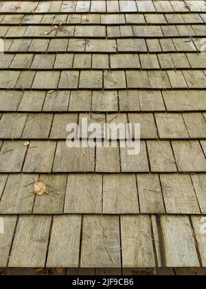 Ancienne texture de galets en bois. Revêtement de toit. Carreaux de toit abîmés. Banque D'Images