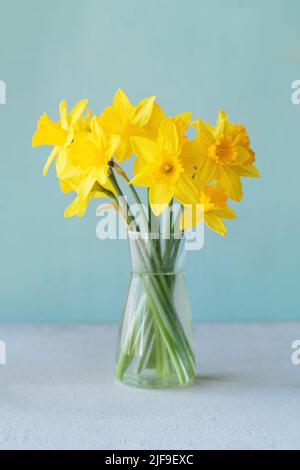 Fleurs jaunes jonquilles debout dans un vase transparent contre un mur bleu Banque D'Images