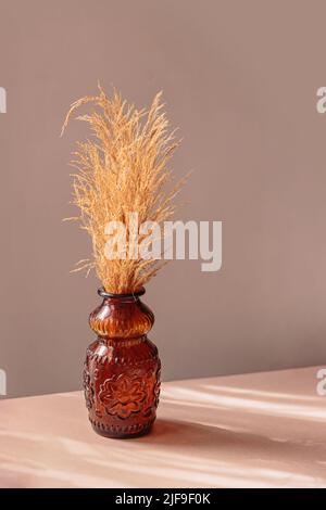 Herbe de pampas naturellement séchée dans un vase brun Banque D'Images