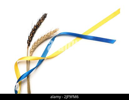 Épillets et rubans de blé de couleur drapeau ukrainien sur fond blanc Banque D'Images