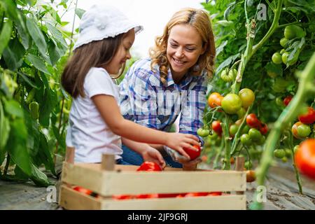 Famille heureuse travaillant dans la serre organique. Femme et enfant cultivons des plantes biologiques dans le jardin de la ferme. Banque D'Images