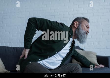 homme âgé barbu avec une barbe assise sur un canapé et se touchant le dos tout en souffrant de douleur Banque D'Images