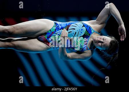 Budapest, Hongrie. 01st juillet 2022. PUNZEL Tina GER3m Springboard femmes plongée préliminaire FINA 19th Championnats du monde Budapest 2022 Budapest, Duna Arena 01/07/22 photo Andrea Staccioli/Deepbluemedia/Insidefoto crédit: Insidefoto srl/Alamy Live News Banque D'Images