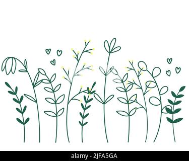 Les herbes d'été, les mauvaises herbes et les fleurs ligne silhouette vecteur. Prairie plantes sauvages décoration botanique naturelle. Design des éléments de tendance dessinés à la main Illustration de Vecteur