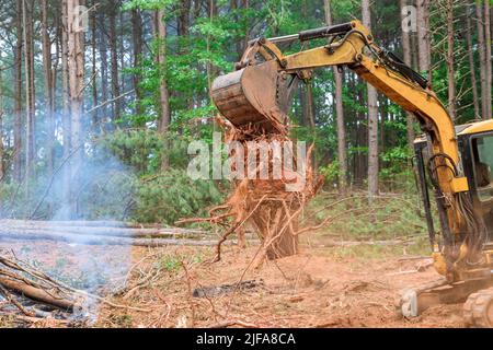 Terrain en cours de préparation pour le développement de logements de tracteurs ou de mini-chargeuses défrichant les terres des racines Banque D'Images