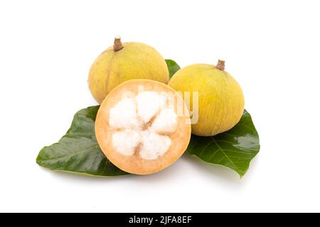 Gros plan fruits de santol isolés sur fond blanc. Concept alimentaire et de santé Banque D'Images