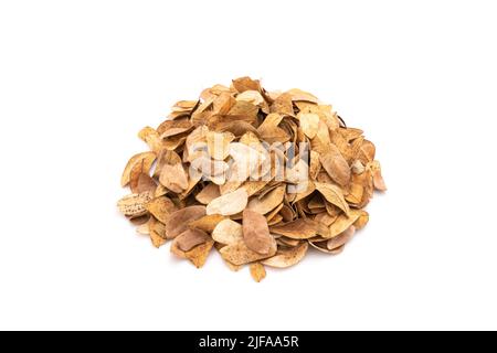 Pile de feuilles fraîches et sèches de Samanea saman arbre isolé sur fond blanc. Banque D'Images