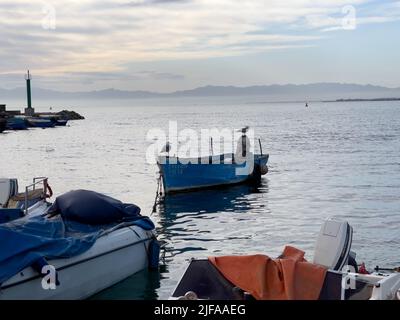 Oiseaux mouettes debout sur un petit bateau de pêche dans un port Banque D'Images