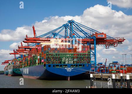 Navires-conteneurs au terminal des conteneurs de Burchardkai, dans le port de Hambourg, Hambourg, Allemagne Banque D'Images