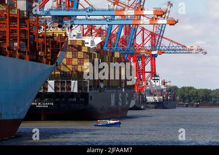 Petit bateau pour les visites du port entre les navires à conteneurs au terminal des conteneurs Eurogate dans le port de Hambourg, Hambourg, Allemagne Banque D'Images