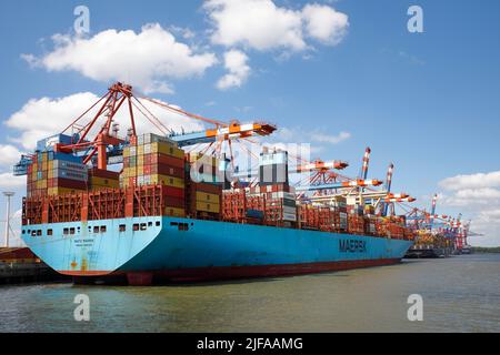 Navires-conteneurs au terminal de conteneurs Eurogate dans le port de Hambourg, Hambourg, Allemagne Banque D'Images