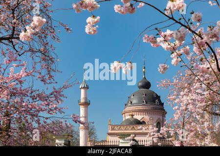 Cerisiers en fleurs dans le jardin baroque de la mosquée du palais de Schwetzingen, Schwetzingen, Bade-Wurtemberg, Allemagne Banque D'Images