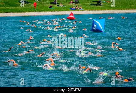 Nageurs à la discipline START au Stadttriathlon 27th à Erding, Bavière, Allemagne Banque D'Images