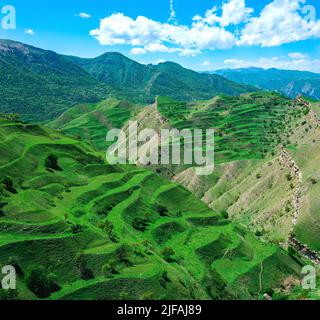 paysage de montagne avec terrasses agricoles vertes sur les pentes Banque D'Images