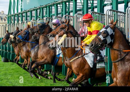 Départ d'une course à cheval sur le circuit de Chantilly, France. Banque D'Images