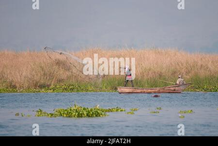 Pêche Les pêcheurs locaux en jetant son filet dans le Nil Albert, en Ouganda. Banque D'Images