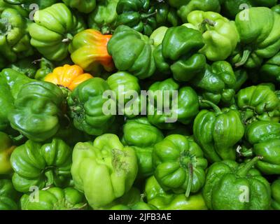 Piment Habanero sur le marché Banque D'Images