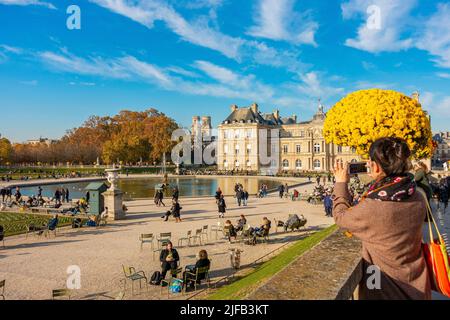France, Paris, jardin du Luxembourg en automne, jeune femme photographiant le Sénat Banque D'Images