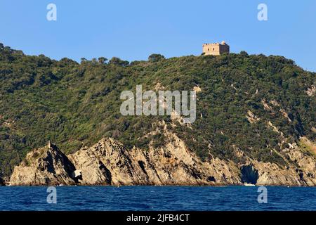 France, Var, Iles d'Hyères, Parc National de Port Cros (Parc National de Port Cros), île de Port-Cros, bateau passant sous le fort de l'Estissac sur la côte nord à Pointe du Miladou et rocher de Rascas en premier plan Banque D'Images