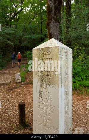 France, Var, Plan d'Aups Sainte Baume, Parc naturel régional Sainte-Baume, Forêt du massif de Sainte-Baume, selon la tradition légendaire des Compagnons du devoir et du Tour de France, Leur fondateur Maître Jacques à son retour de la construction du temple de Salomon en 950 av. J.-C. se retire à Sainte-Baume où il aurait été assassiné et enterré, le passage sur le massif est donc essentiel dans leur voyage initiatique Banque D'Images