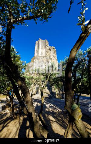 La France, Gard, Nîmes, Tour Magne, tour gallo-romain dans les jardins de la fontaine ((Jardins de la fontaine) Banque D'Images