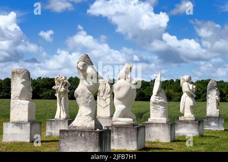 France, Charente-Maritime, Saintonge, Crazannes, la Pierre de Crazannes, début de construction dans un champ de 365 mégalithes sculptés, projet appelé la Galaxie des pierres surélevées Banque D'Images