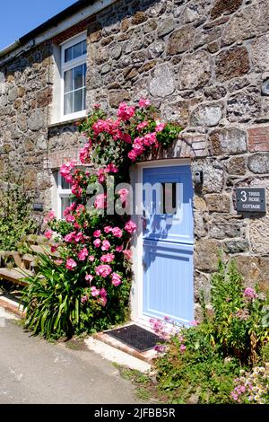 Stone Cottages dans le village de Cornouailles de Lizard. La péninsule de Lizard Cornwall UK Roses autour de la porte Banque D'Images