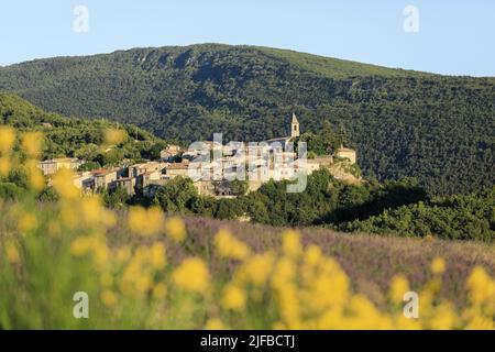 France, Drôme, parc naturel régional des Baronnies provençales, Saint Auban sur l'Ouveze, vue sur le village Banque D'Images