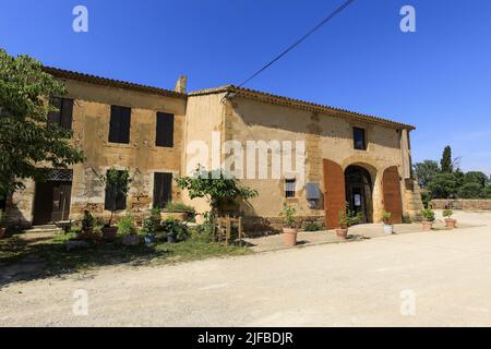 France, Bouches du Rhône, Saint Martin de Crau, Maison de la chasse et de la nature Banque D'Images