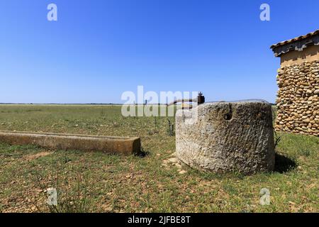 France, Bouches du Rhône, Saint Martin de Crau, Réserve naturelle des Cousâmes de Crau, promenade sur les sentiers de la réserve, bien Banque D'Images