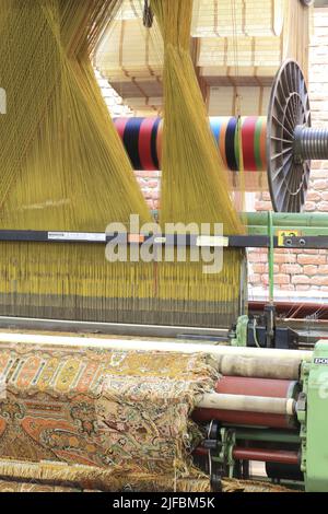 France, Nord, Roubaix, la Manufacture (musée de la mémoire et de la création textile) installée dans les anciens locaux de la société textile Craye et fils (début 20th siècle), métier à tisser Dornier avec lance double rigide (1990) Banque D'Images