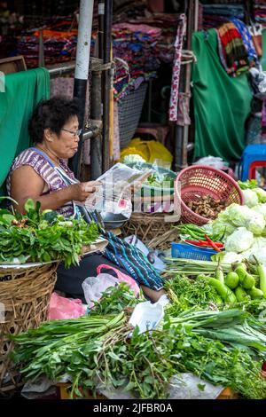 Femme lisant du papier et vendant des légumes, marché de Warorot, Chiang Mai, Thaïlande Banque D'Images