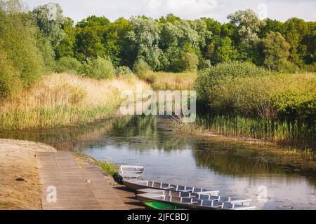 Obedska Bara - Swamp Obedska le long de la rivière Sava en Serbie. Grand marais et forêt avec des bateaux lors d'une belle journée de printemps ensoleillée. Banque D'Images