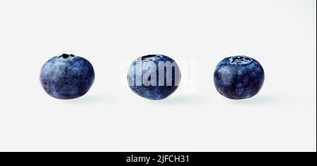 trois bleuets sur fond blanc en rangée Banque D'Images