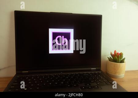 KONSKIE, POLOGNE - 30 juin 2022: Logo Adobe Character Animator affiché sur l'écran de l'ordinateur portable Banque D'Images