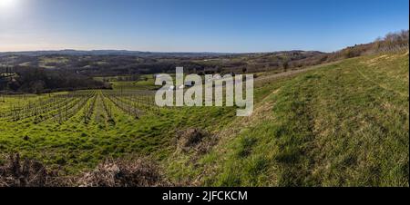 Vue panoramique sur les vignobles de la vallée de la Vézère Banque D'Images