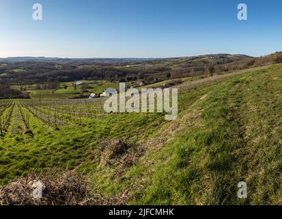 Vue panoramique sur les vignobles de la vallée de la Vézère Banque D'Images