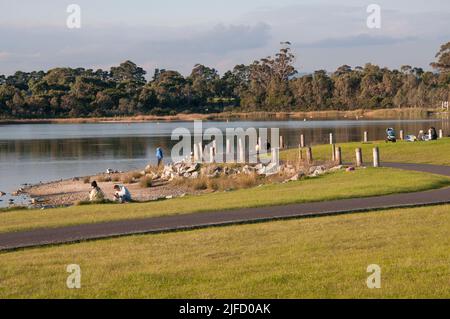 Karkarook Park est un parc métropolitain de 15 ha situé à Moorabbin, Melbourne, Victoria, Australie, qui comprend des zones humides artificielles et un lac rempli de poissons Banque D'Images