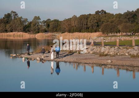 Karkarook Park est un parc métropolitain de 15 ha situé à Moorabbin, Melbourne, Victoria, Australie, qui comprend des zones humides artificielles et un lac rempli de poissons Banque D'Images